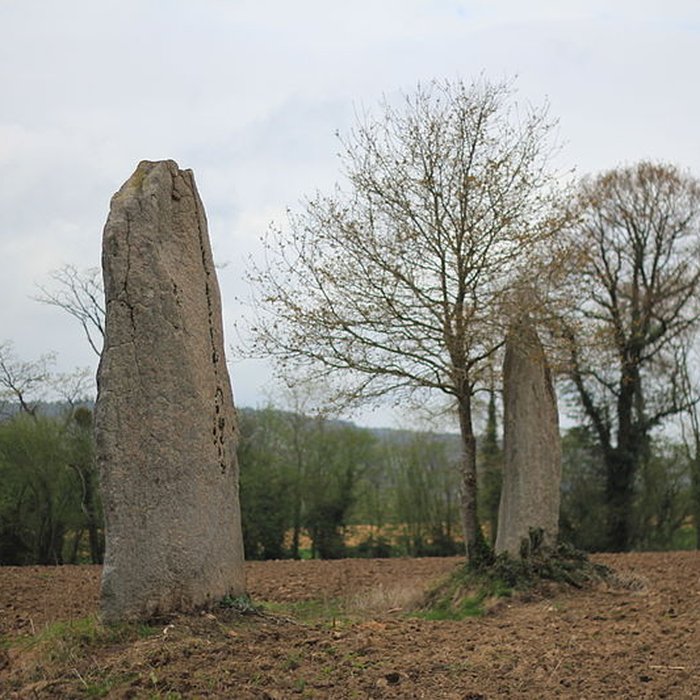 Photo de Menhirs de Kernars à Saint-Barthélemy