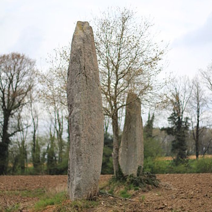 Photo de Menhirs de Kernars à Saint-Barthélemy
