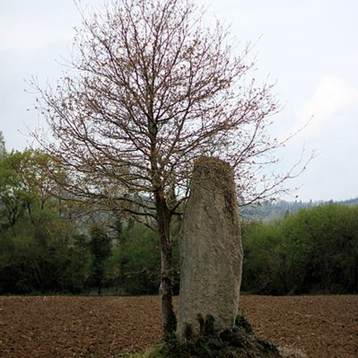Photo de Menhirs de Kernars à Saint-Barthélemy