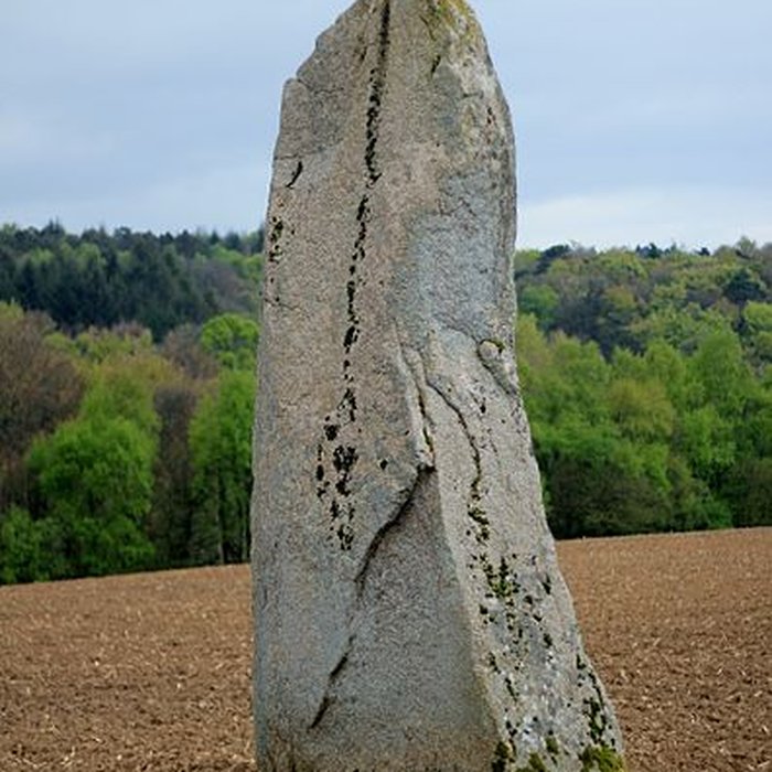 Photo de Menhirs de Kernars à Saint-Barthélemy