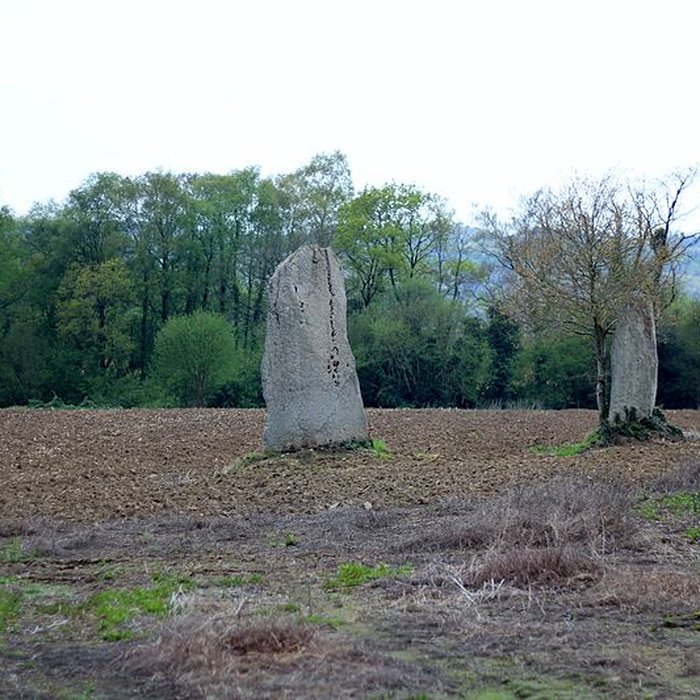 Photo de Menhirs de Kernars à Saint-Barthélemy