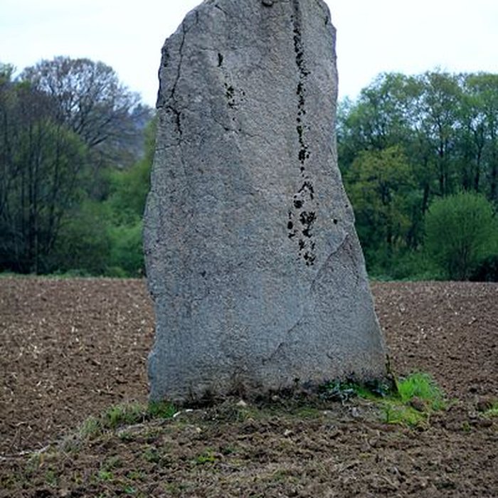 Photo de Menhirs de Kernars à Saint-Barthélemy