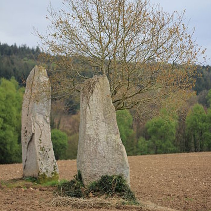 Photo de Menhirs de Kernars à Saint-Barthélemy