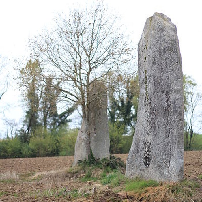 Photo de Menhirs de Kernars à Saint-Barthélemy