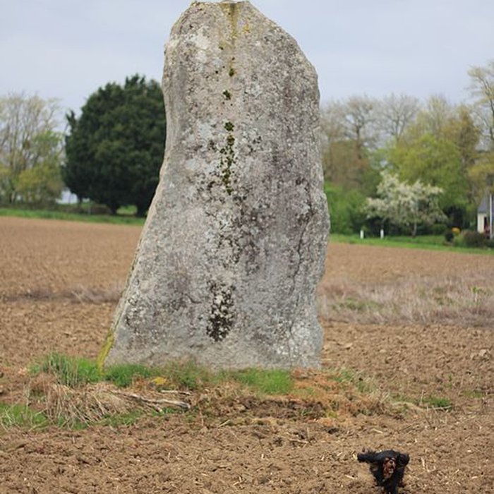 Photo de Menhirs de Kernars à Saint-Barthélemy