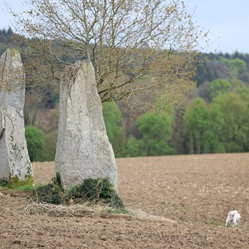 Menhirs de Kernars à Saint-Barthélemy