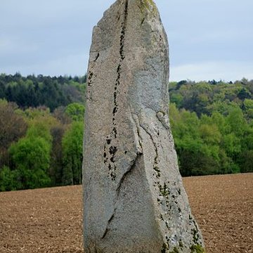 Menhirs de Kernars à Saint-Barthélemy