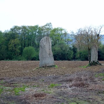 Menhirs de Kernars à Saint-Barthélemy