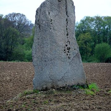 Menhirs de Kernars à Saint-Barthélemy