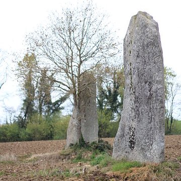 Menhirs de Kernars à Saint-Barthélemy