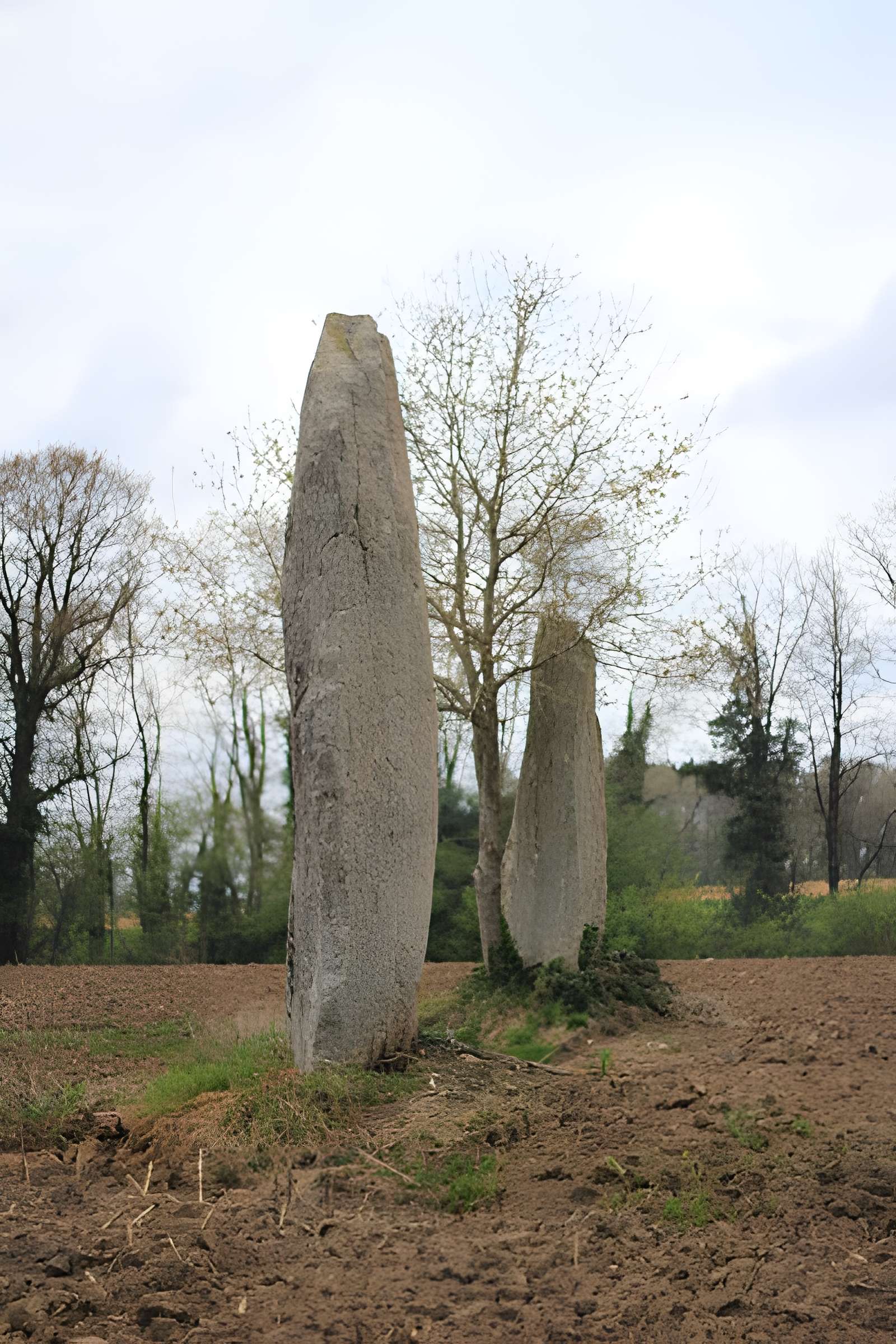 Menhirs de Kernars à Saint-Barthélemy