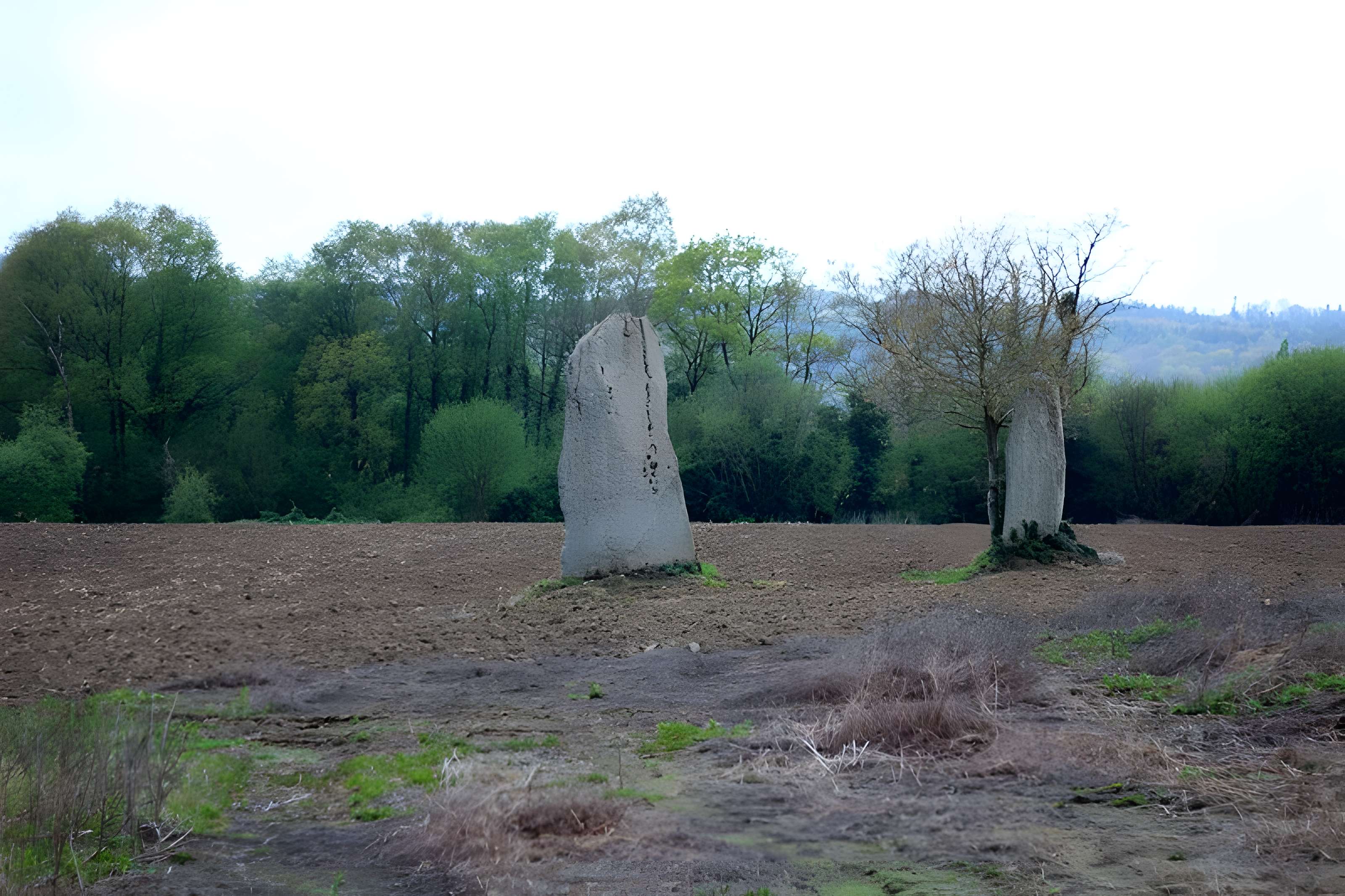 Menhirs de Kernars à Saint-Barthélemy