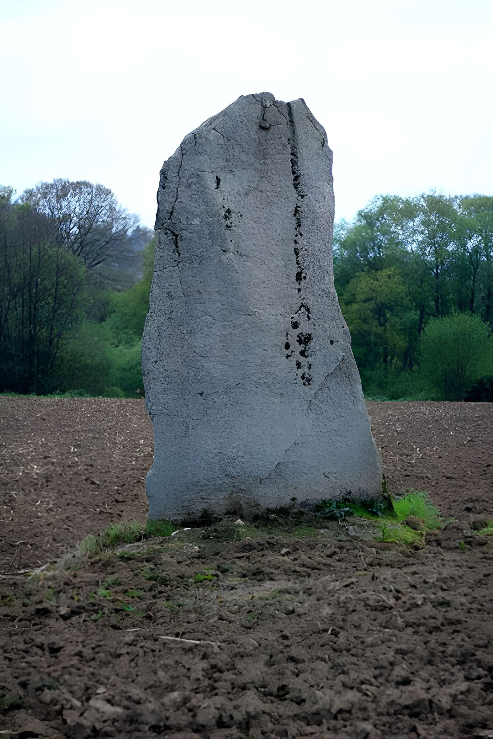 Menhirs de Kernars à Saint-Barthélemy