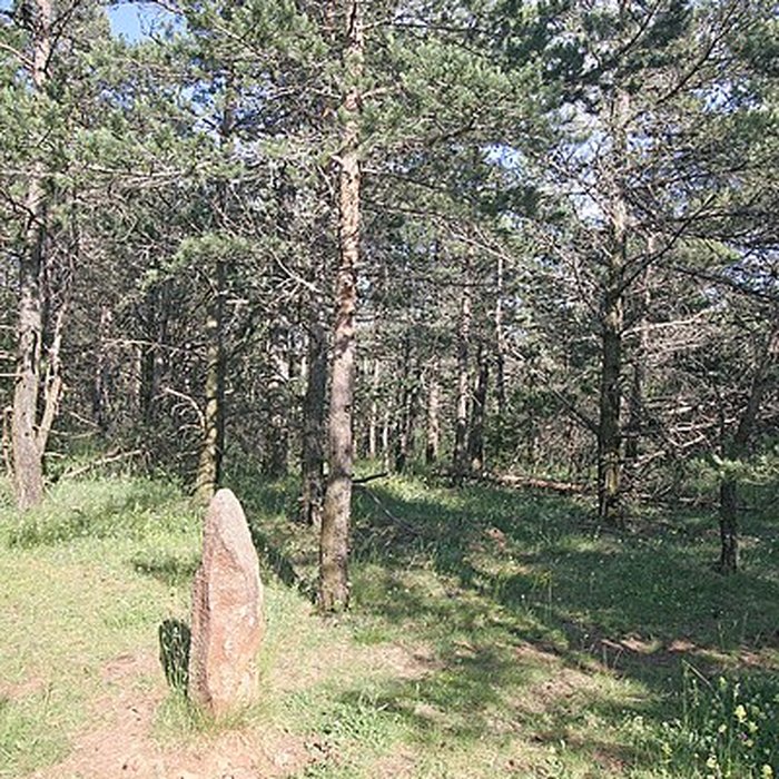 Photo de Trois menhirs, du deuxième groupe dit de la Fage, à 500 m du premier du même nom