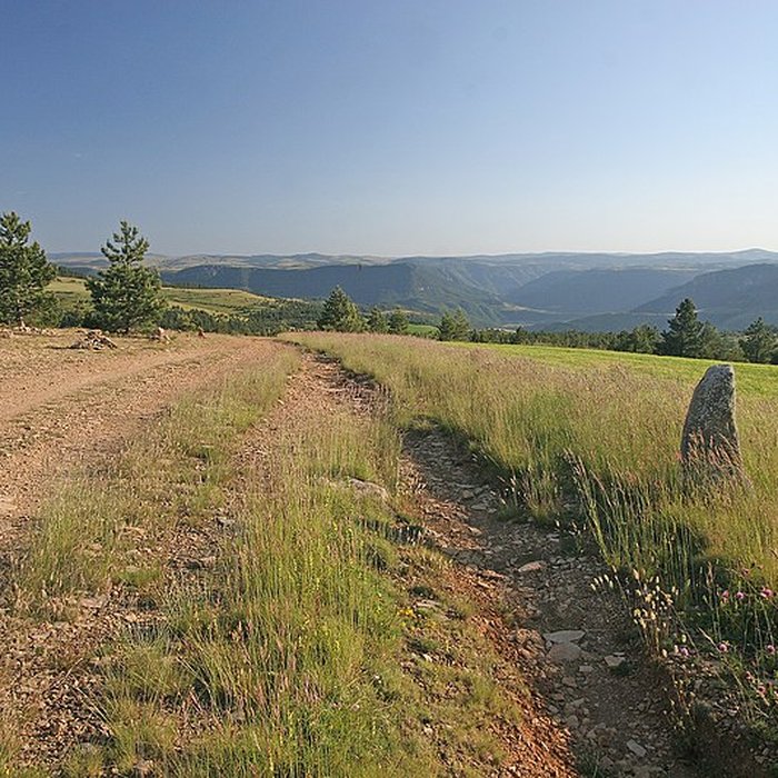 Photo de Trois menhirs, du deuxième groupe dit de la Fage, à 500 m du premier du même nom