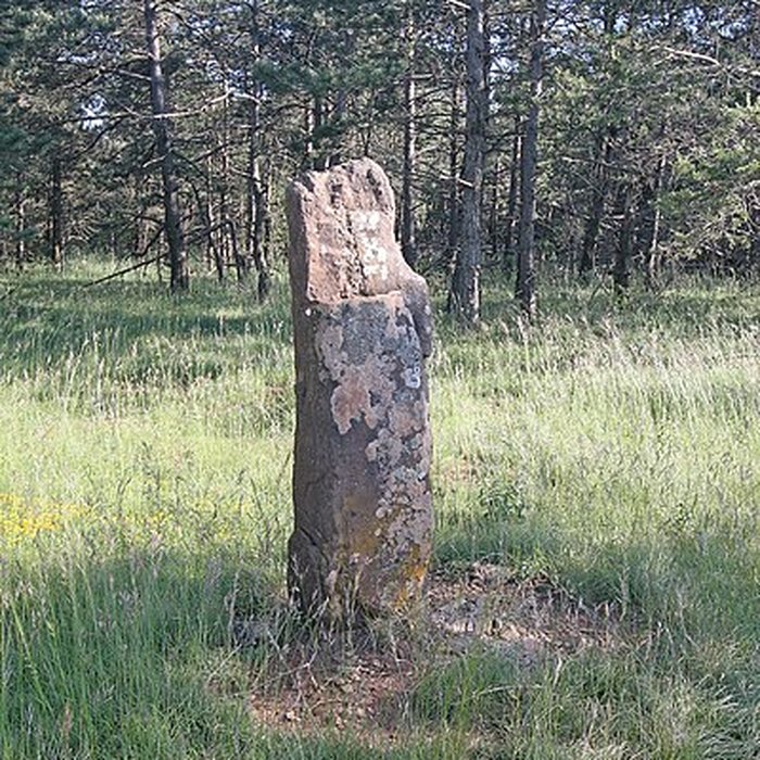 Photo de Trois menhirs, du deuxième groupe dit de la Fage, à 500 m du premier du même nom