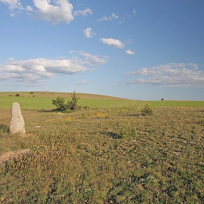Photo de Trois menhirs, du deuxième groupe dit de la Fage, à 500 m du premier du même nom