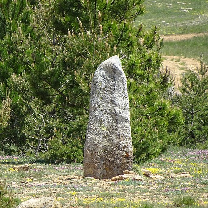 Photo de Trois menhirs, du deuxième groupe dit de la Fage, à 500 m du premier du même nom