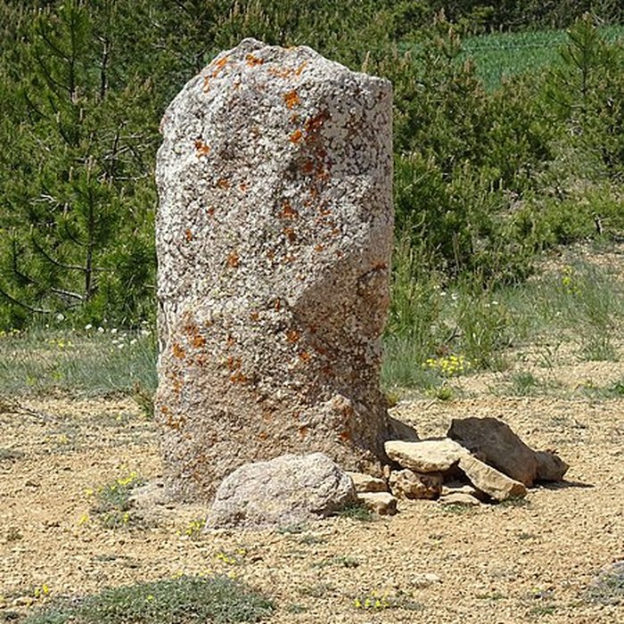 Photo de Trois menhirs, du deuxième groupe dit de la Fage, à 500 m du premier du même nom