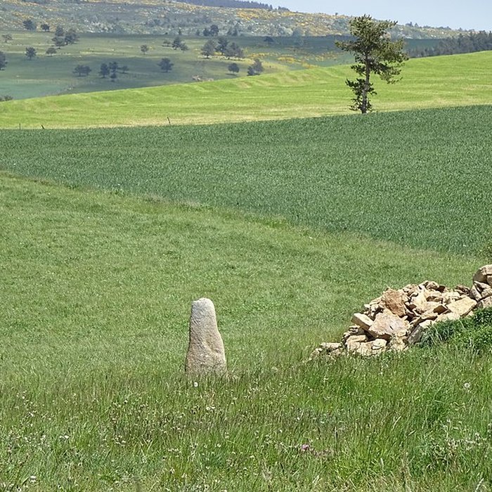Photo de Trois menhirs, du deuxième groupe dit de la Fage, à 500 m du premier du même nom
