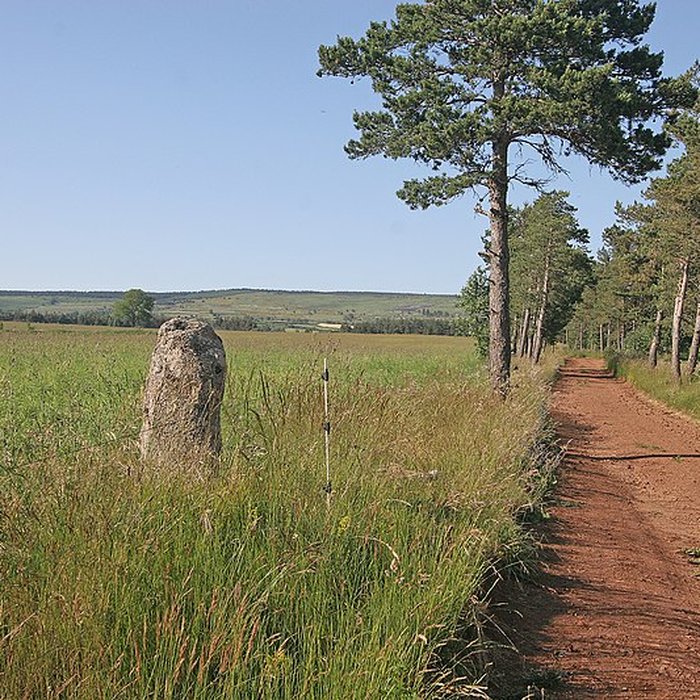 Photo de Trois menhirs, du deuxième groupe dit de la Fage, à 500 m du premier du même nom