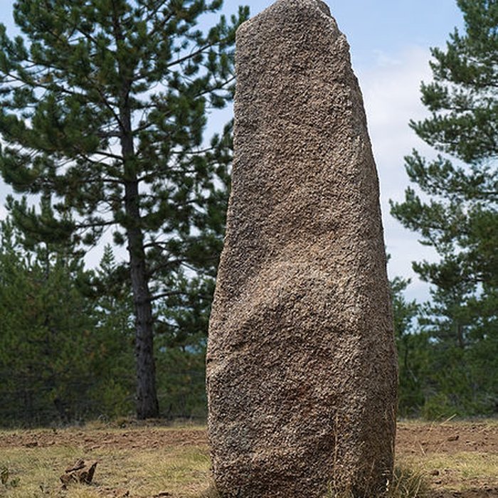Photo de Trois menhirs, du deuxième groupe dit de la Fage, à 500 m du premier du même nom