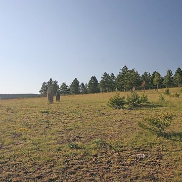 Menhirs constituant le premier groupe dit de la Fage