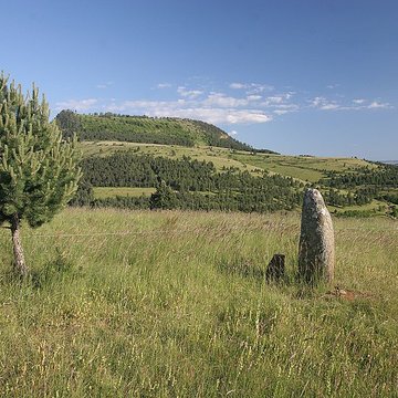 Menhirs constituant le premier groupe dit de la Fage