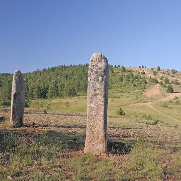 Menhirs constituant le premier groupe dit de la Fage