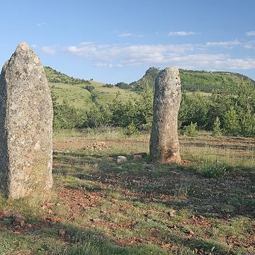 Menhirs constituant le premier groupe dit de la Fage