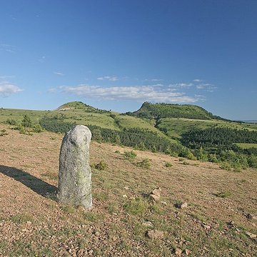 Menhirs constituant le premier groupe dit de la Fage