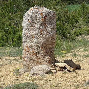 Menhirs constituant le premier groupe dit de la Fage