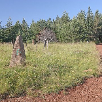 Menhirs constituant le premier groupe dit de la Fage