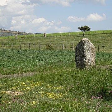 Menhirs constituant le premier groupe dit de la Fage