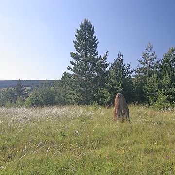 Menhirs constituant le premier groupe dit de la Fage