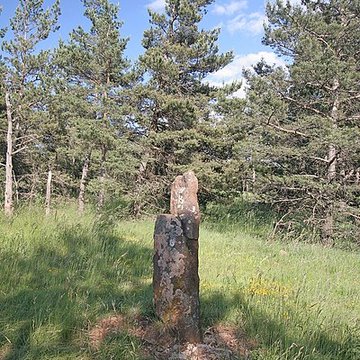 Menhirs constituant le premier groupe dit de la Fage