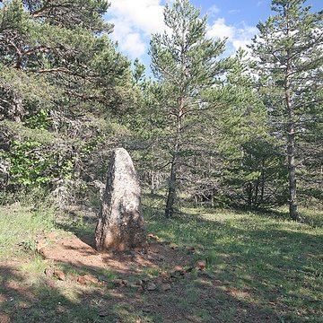 Menhirs constituant le premier groupe dit de la Fage