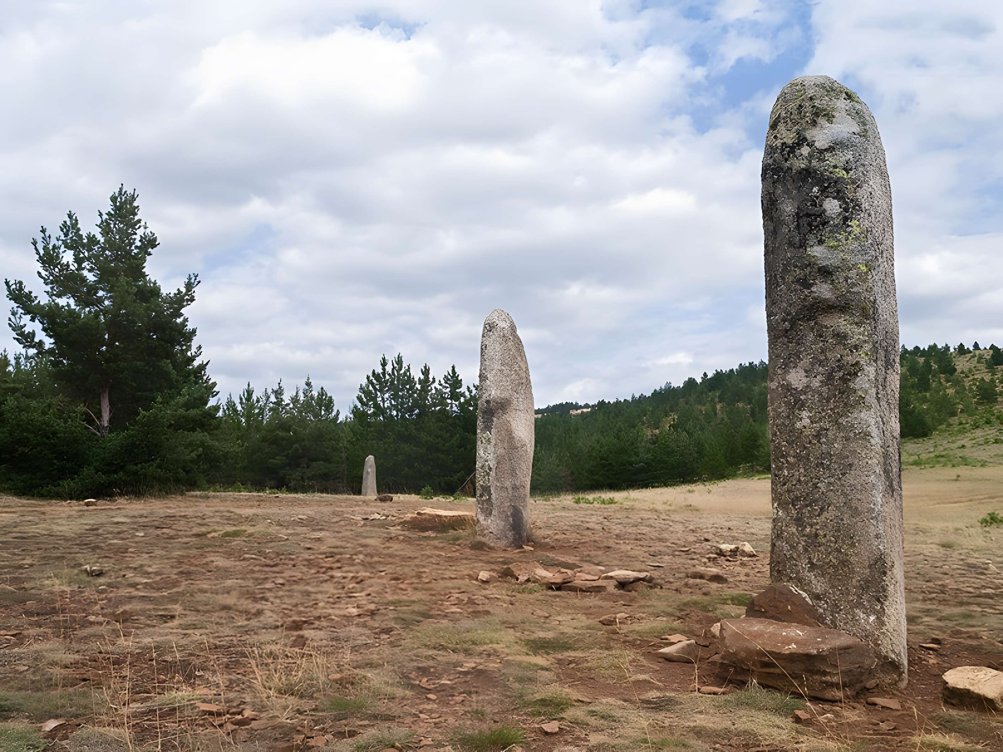 Menhirs de la Fage des Bondons 