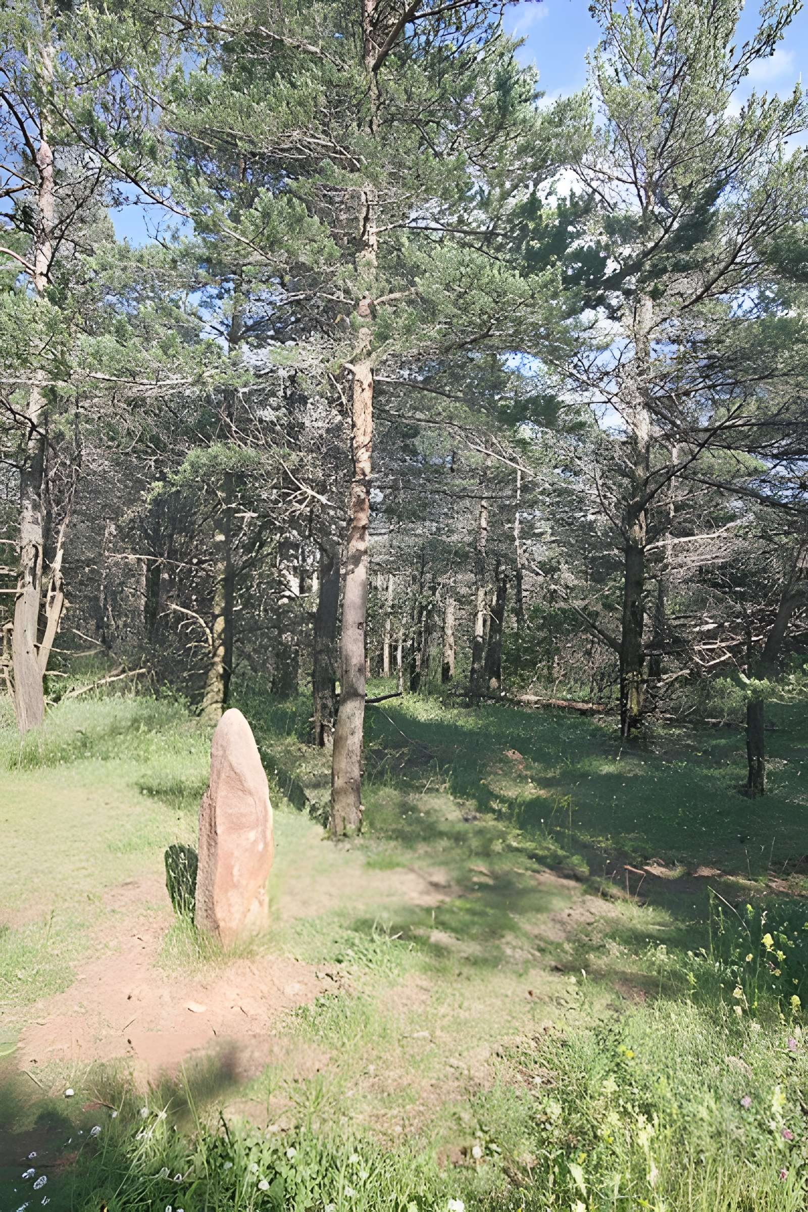 Menhirs constituant le premier groupe dit de la Fage