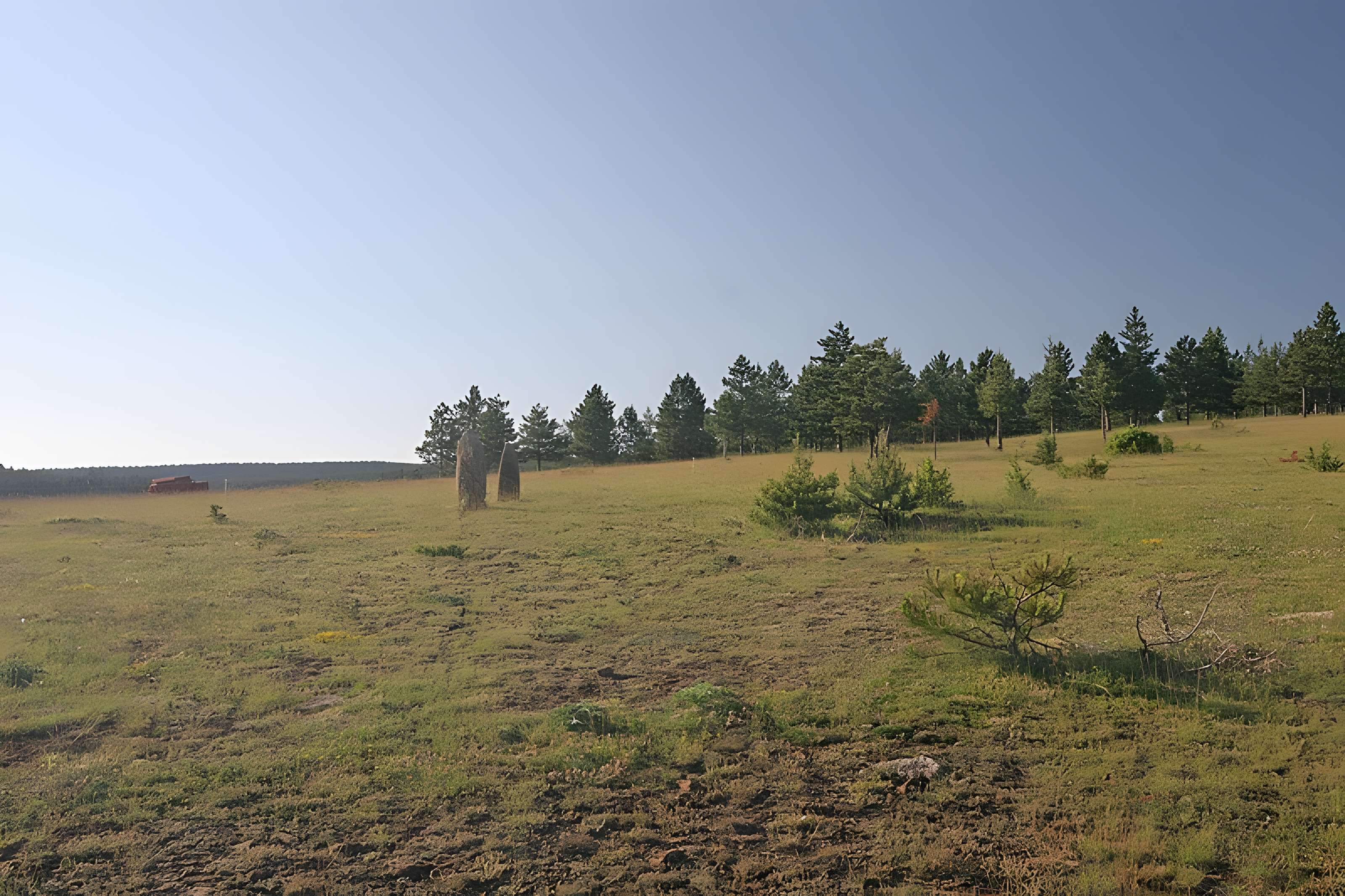 Menhirs constituant le premier groupe dit de la Fage