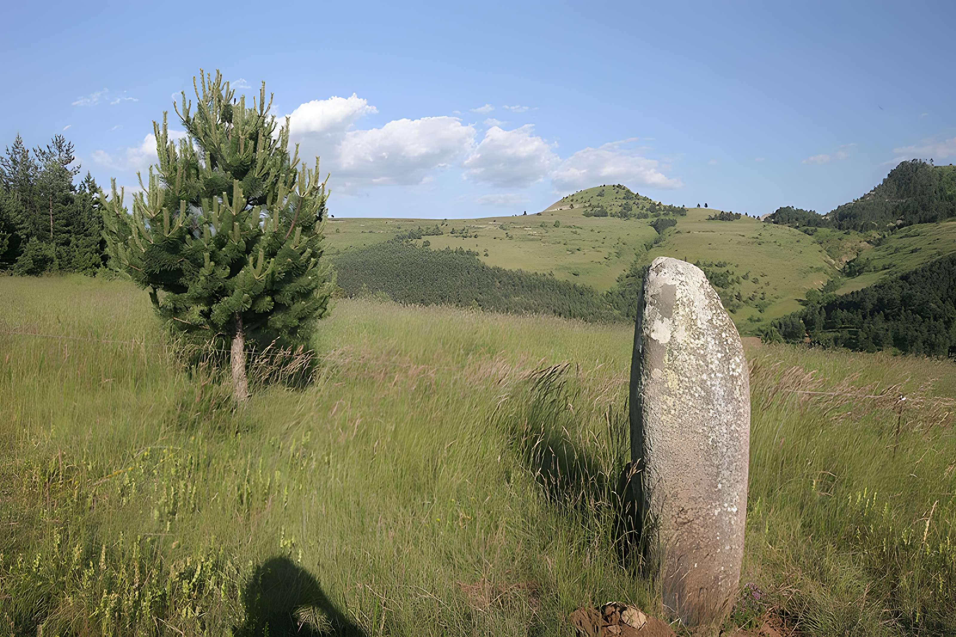Menhirs constituant le premier groupe dit de la Fage