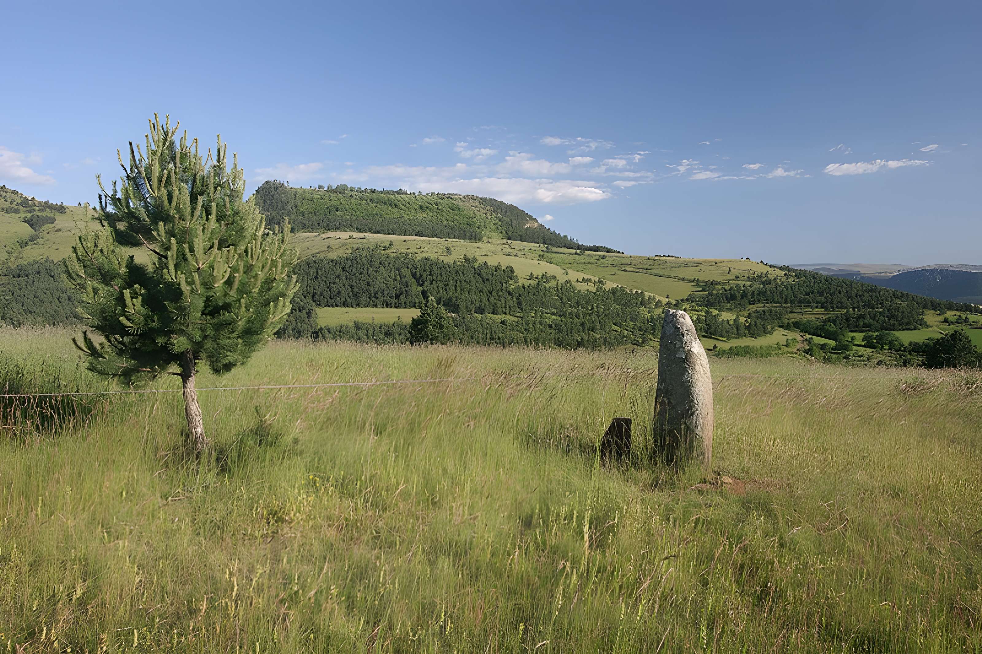 Menhirs constituant le premier groupe dit de la Fage