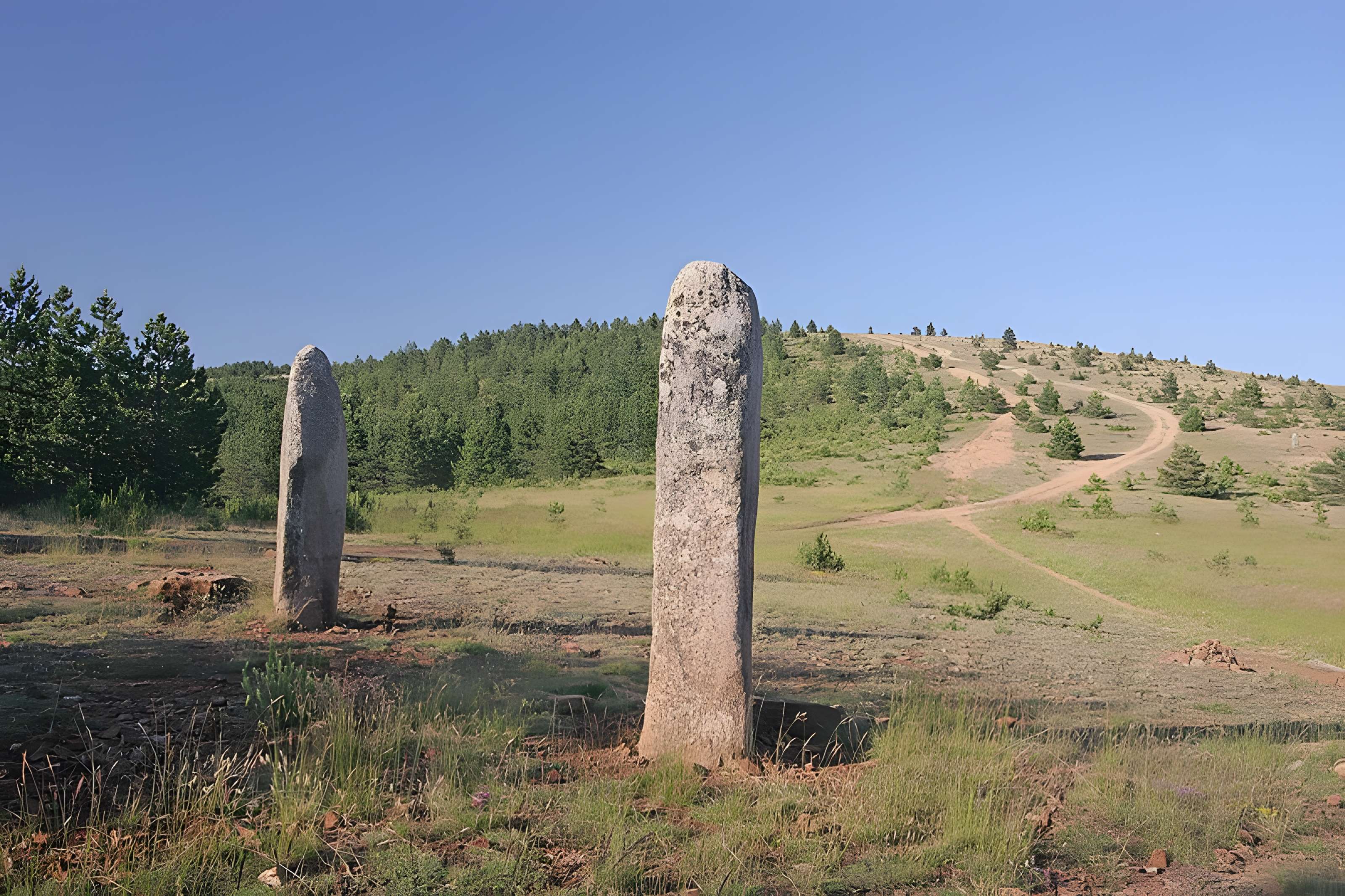 Menhirs constituant le premier groupe dit de la Fage