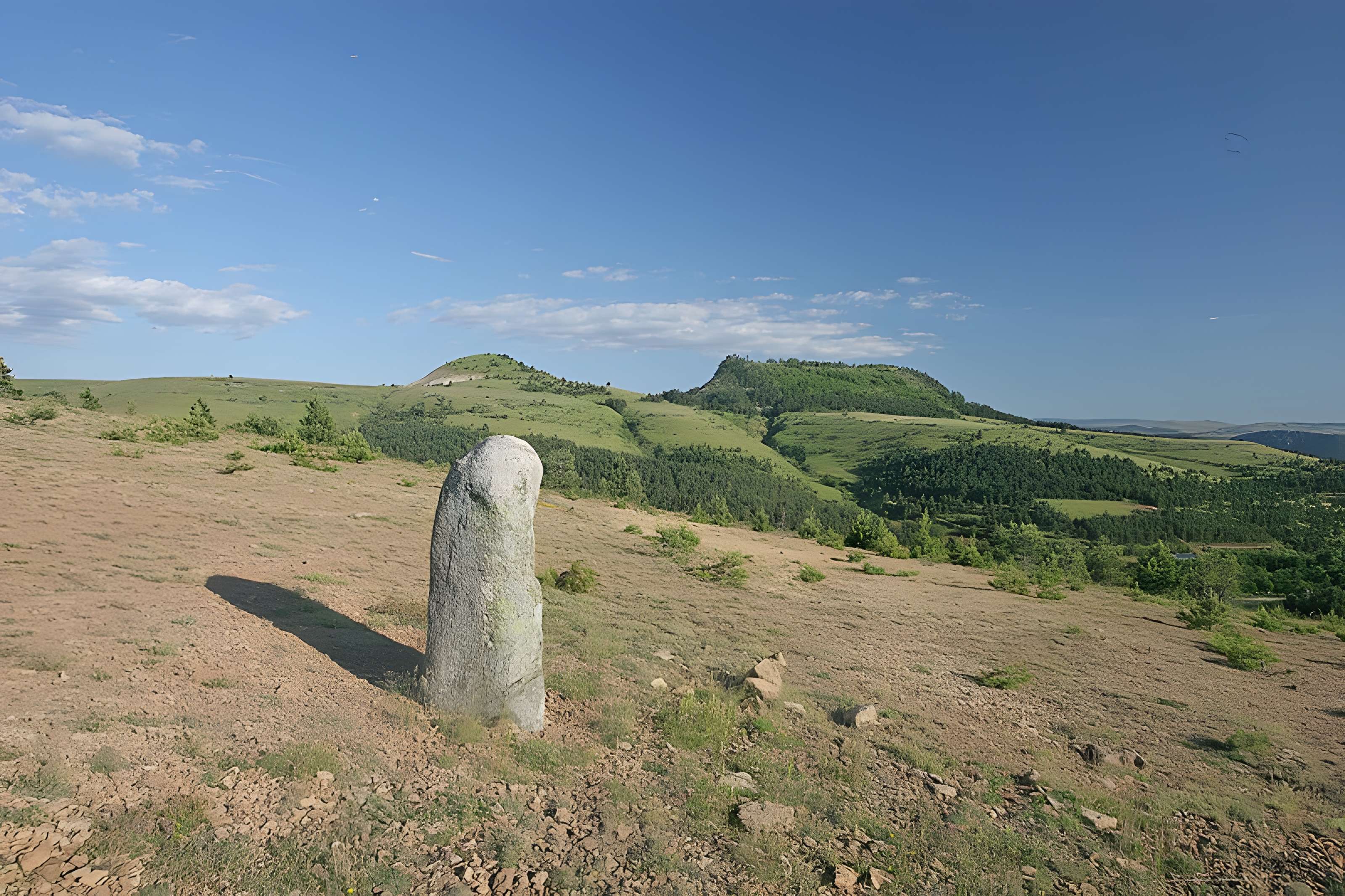 Menhirs constituant le premier groupe dit de la Fage