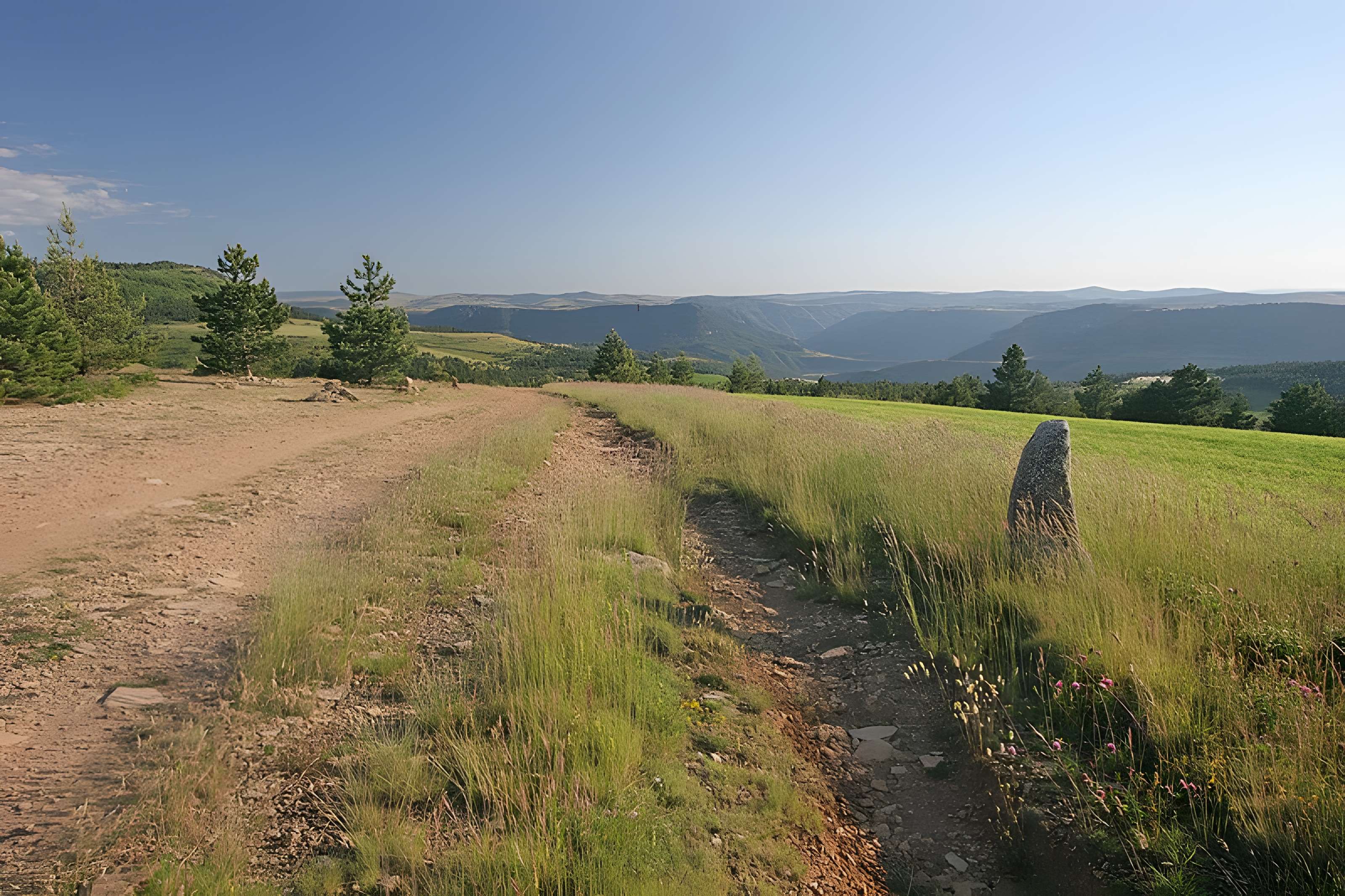 Menhirs constituant le premier groupe dit de la Fage