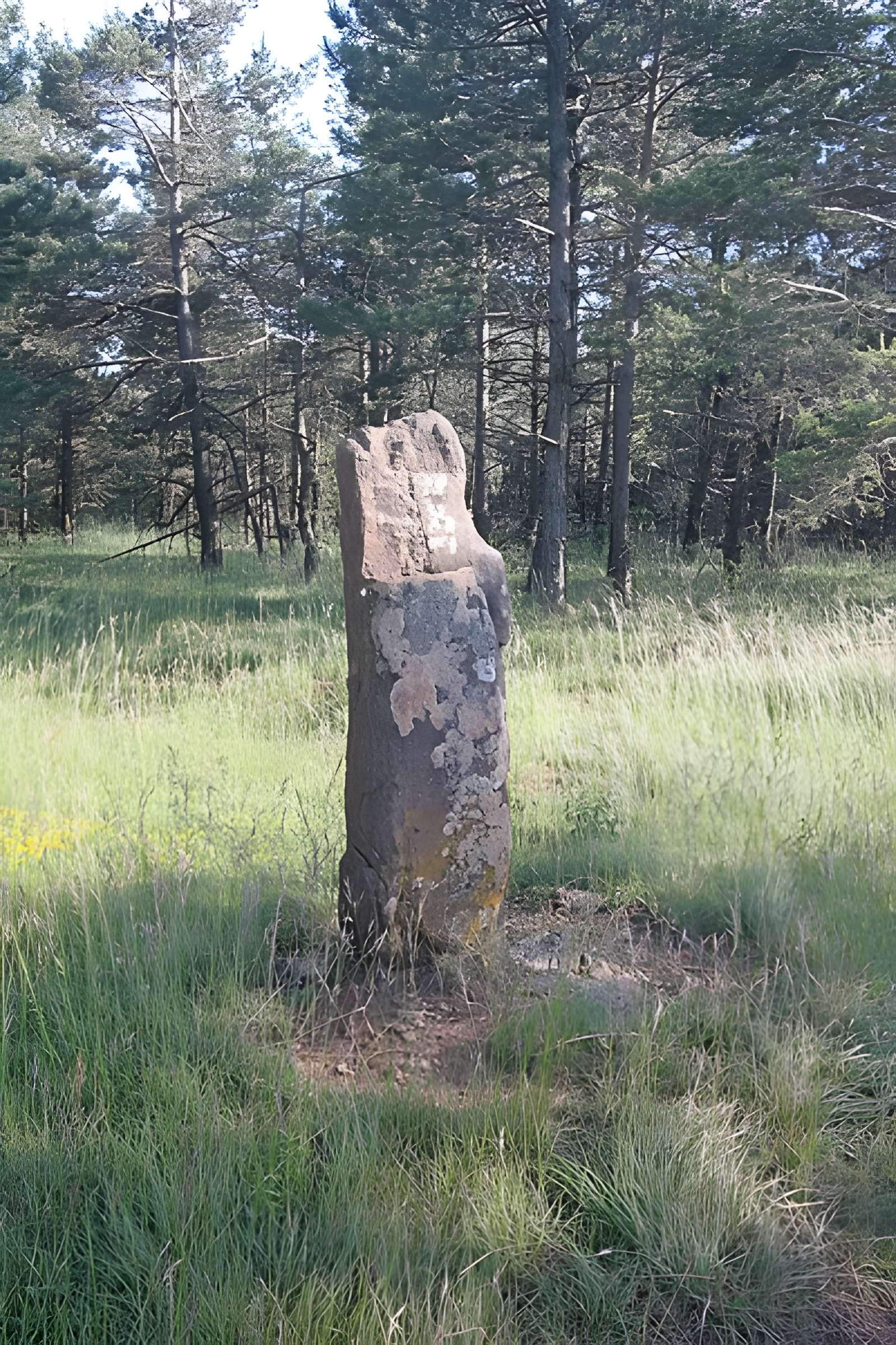 Menhirs constituant le premier groupe dit de la Fage