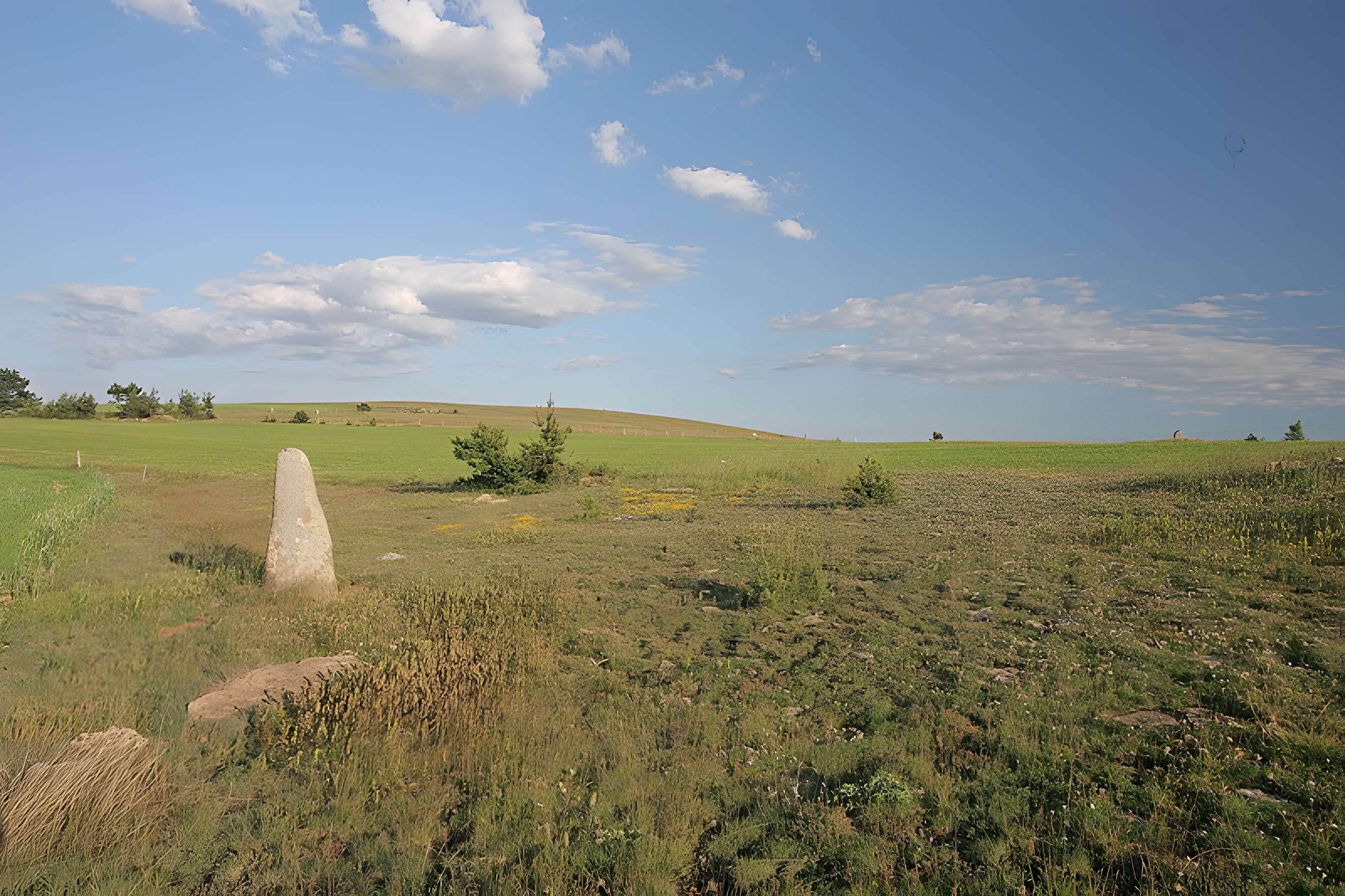 Menhirs constituant le premier groupe dit de la Fage