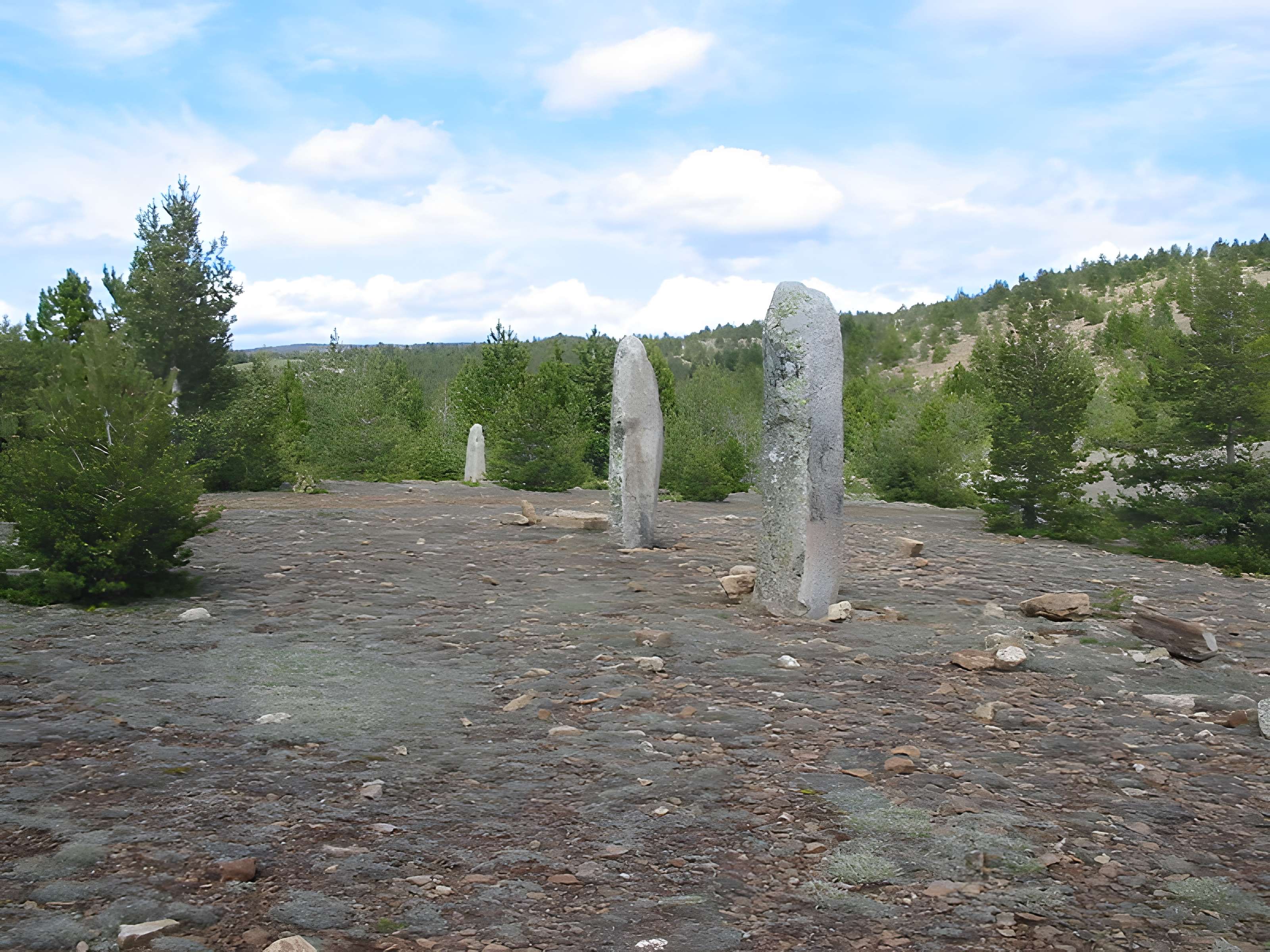 Menhirs constituant le premier groupe dit de la Fage