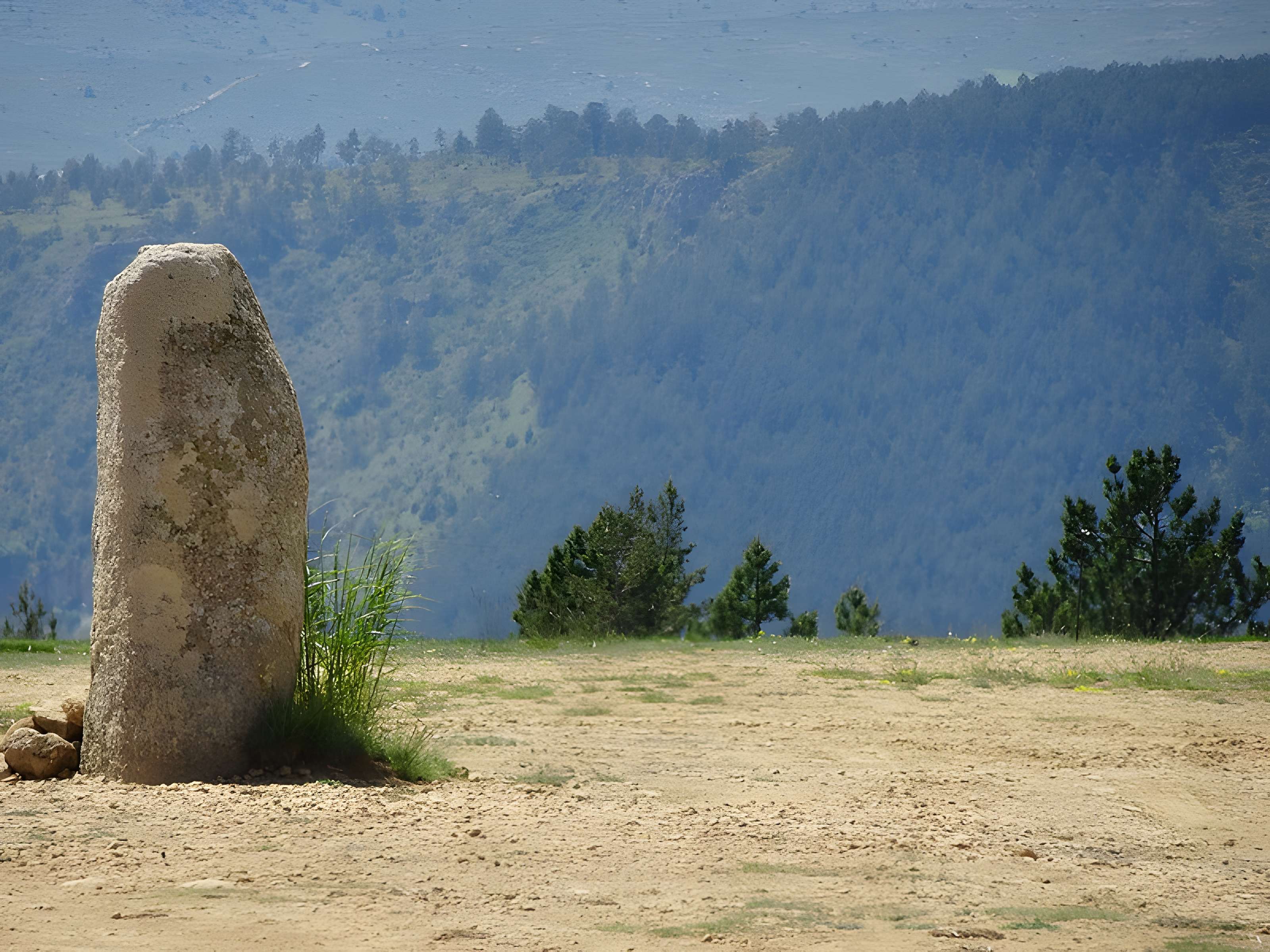Menhirs constituant le premier groupe dit de la Fage