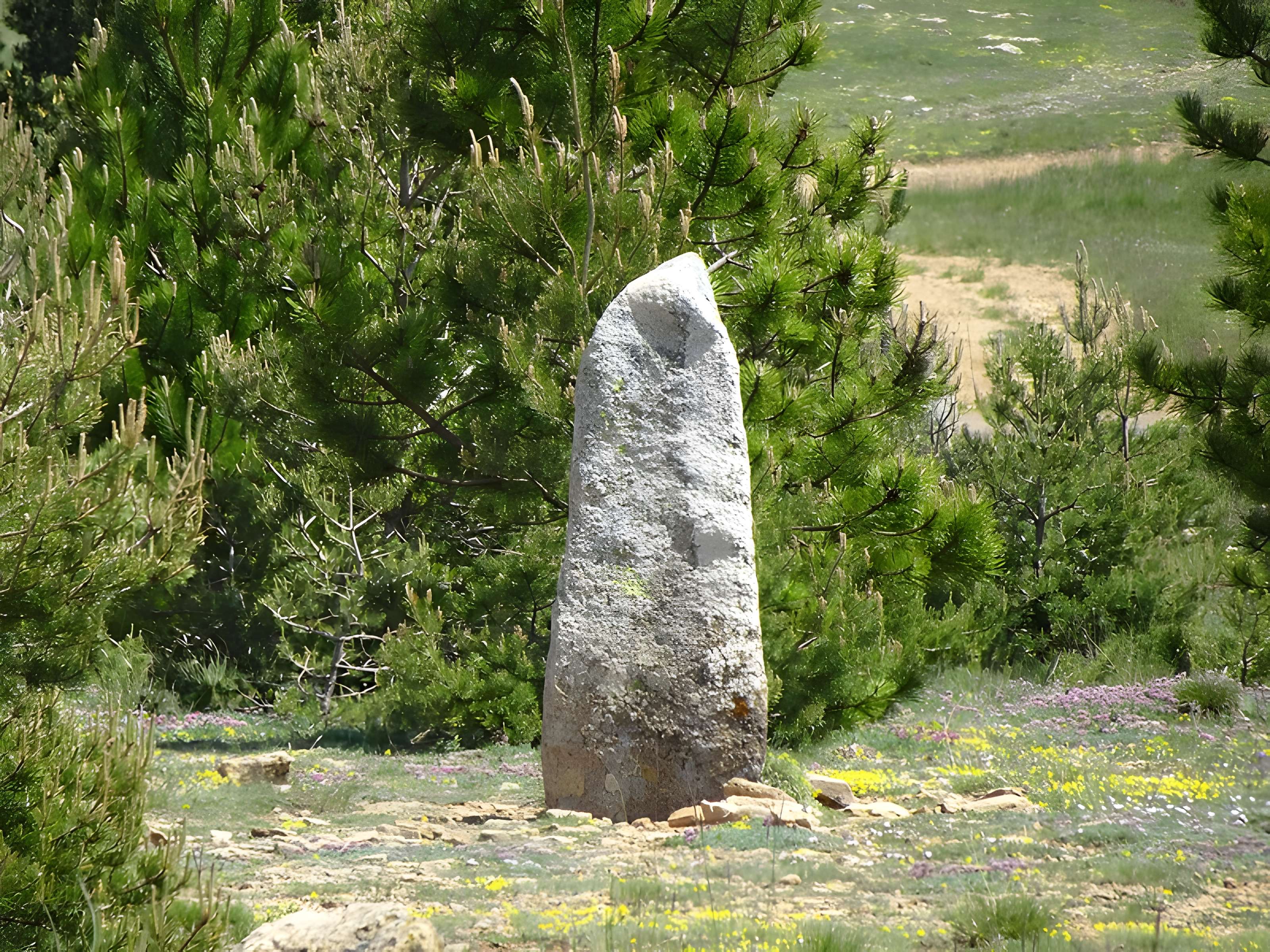 Menhirs constituant le premier groupe dit de la Fage